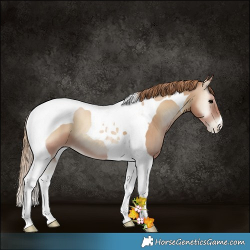 Horse Color:Blue Onyx Pearl Tobiano 