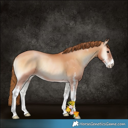 Horse Color:Bay Pearl Onyx Sabino 