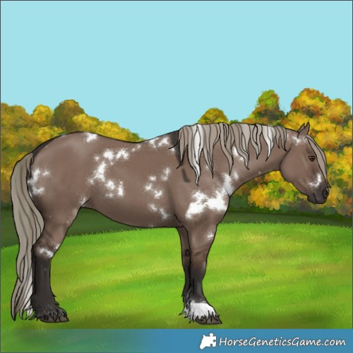 Horse Color:White Spotted Liver Red Dun Mushroom 