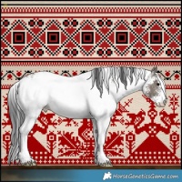 Horse Color:White Spotted Grullo Rabicano