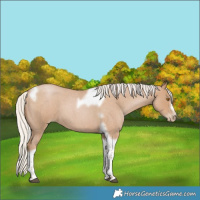 Horse Color:Silver Blue Roan Pearl Tobiano Frame 