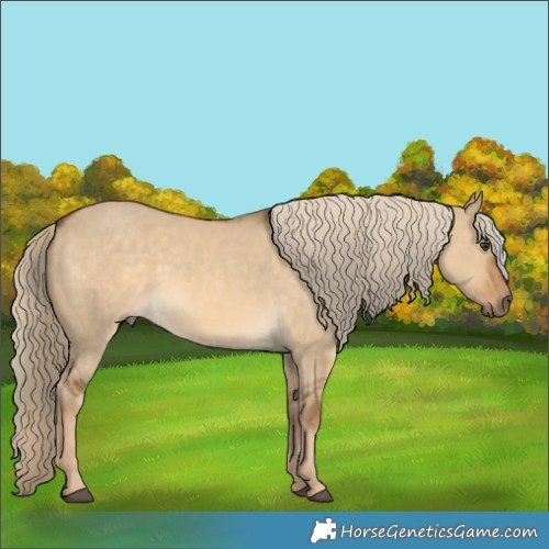 Horse Color:Chocolate Palomino Dun 