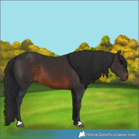 Horse Color:Brown 