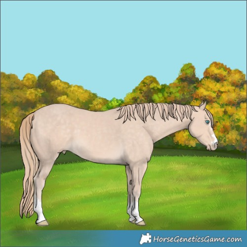 Horse Color:Perlino 