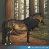 Horse Color:Buckskin 