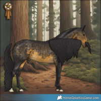 Horse Color:Buckskin 