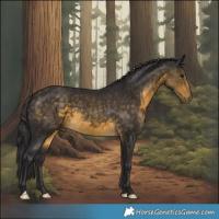 Horse Color:Buckskin