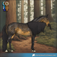 Horse Color:Buckskin 