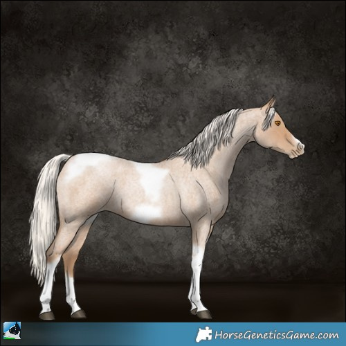 Horse Color:Silver Blue Roan Pearl Tobiano Frame
