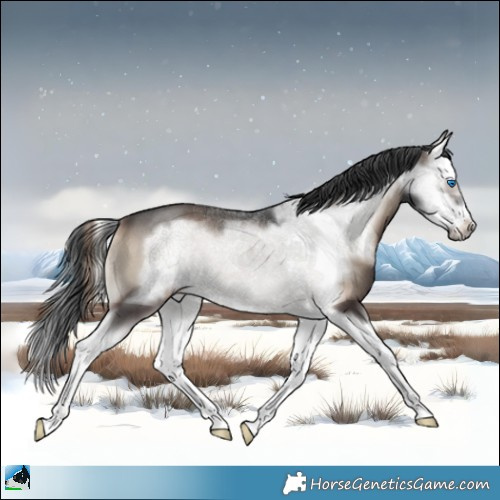 Horse Color:Blue Onyx Splash Frame 