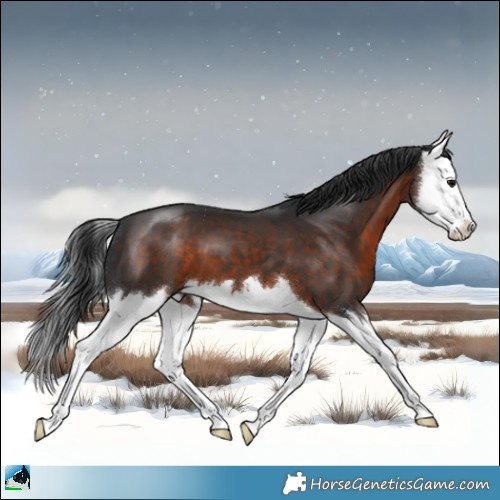 Horse Color:Brown Splash 