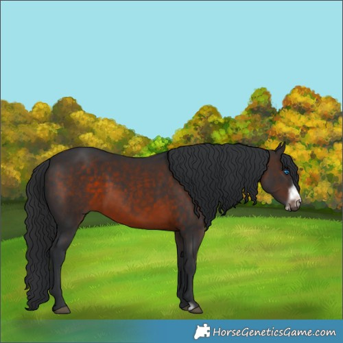 Horse Color:Brown Frame 