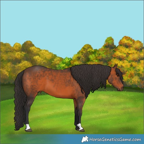 Horse Color:Brown 