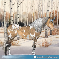 Horse Color:White Spotted Silver Buckskin Dun Varnish 