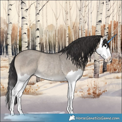 Horse Color:Smoky Grullo Roan Onyx Splash Rabicano 