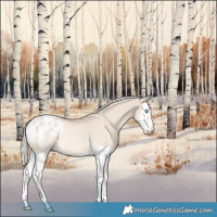 Horse Color:Cremello Dun Splash Varnish Rabicano