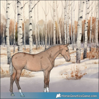 Horse Color:Silver Bay Ice Dun 