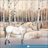 Horse Color:White Spotted Buckskin Ice Roan Dun Blanket Rabicano 