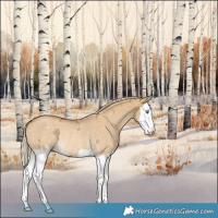 Horse Color:Palomino Ice Roan Dun Splash Varnish Rabicano 