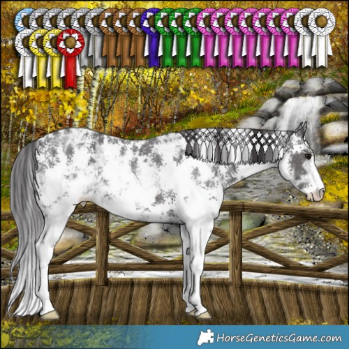 Horse Color:Smoky Black Ice Sabino 