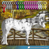 Horse Color:Smoky Black Ice Sabino 