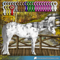 Horse Color:Smoky Black Ice Sabino 