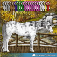 Horse Color:Smoky Black Ice Sabino