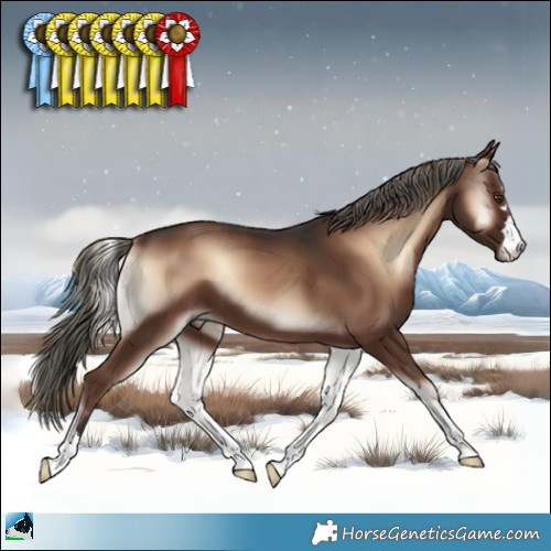 Horse Color:Liver Red Onyx Mushroom 