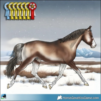 Horse Color:Liver Red Onyx Mushroom