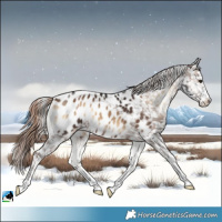 Horse Color:Liver Red Onyx Near Leopard Brindle 