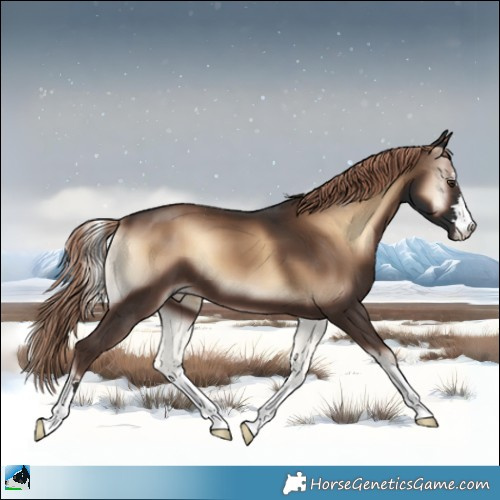 Horse Color:Liver Red Onyx 