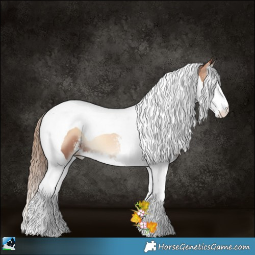 Horse Color:Red Onyx Pearl Sabino Splash Tobiano 