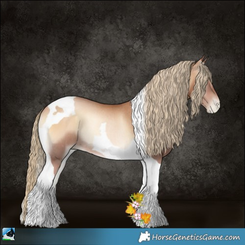 Horse Color:Red Onyx Pearl Tobiano Rabicano 