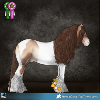 Horse Color:Liver Red Onyx Pearl Tobiano Rabicano 