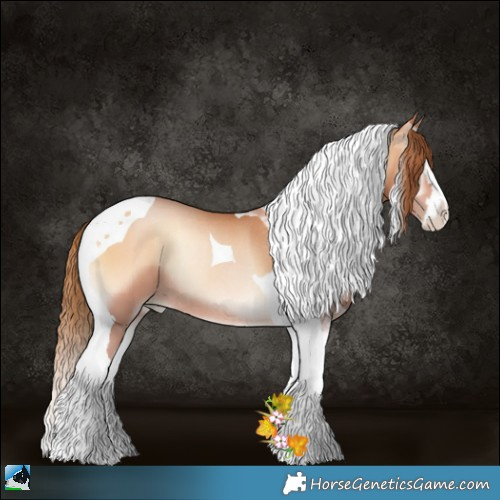 Horse Color:Bay Pearl Onyx Splash Tobiano Rabicano 