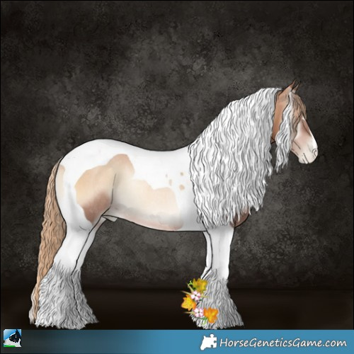 Horse Color:Red Onyx Pearl Tobiano Rabicano 