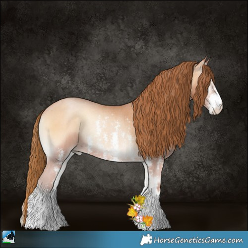 Horse Color:Bay Pearl Onyx Sabino Rabicano 