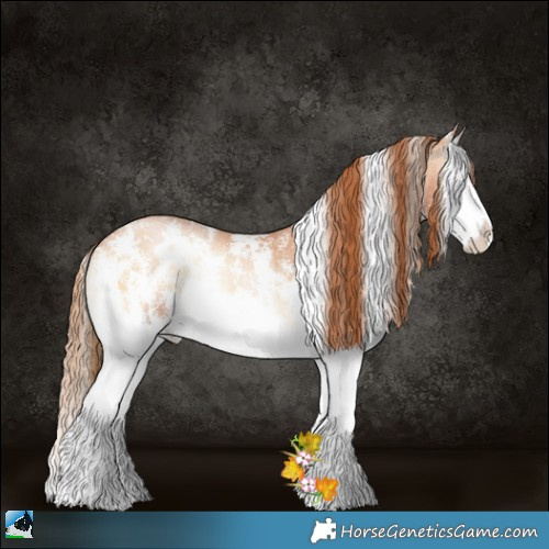 Horse Color:White Spotted Bay Pearl Onyx Sabino Splash Rabicano 