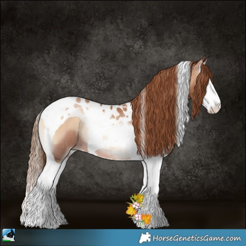 Horse Color:Red Onyx Pearl Splash Tobiano Rabicano 