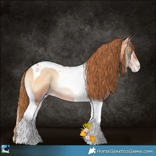 Horse Color:Bay Pearl Onyx Tobiano 