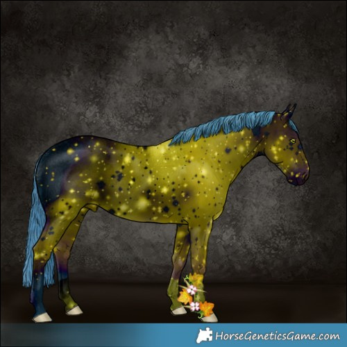Horse Color:ERROR: UNKNOWN ANOMALY