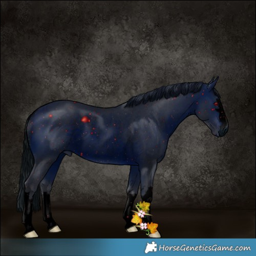 Horse Color:ERROR: UNKNOWN ANOMALY