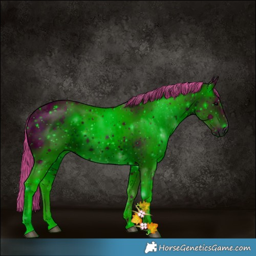 Horse Color:ERROR: UNKNOWN ANOMALY