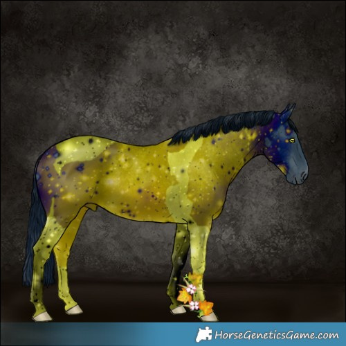 Horse Color:ERROR: UNKNOWN ANOMALY