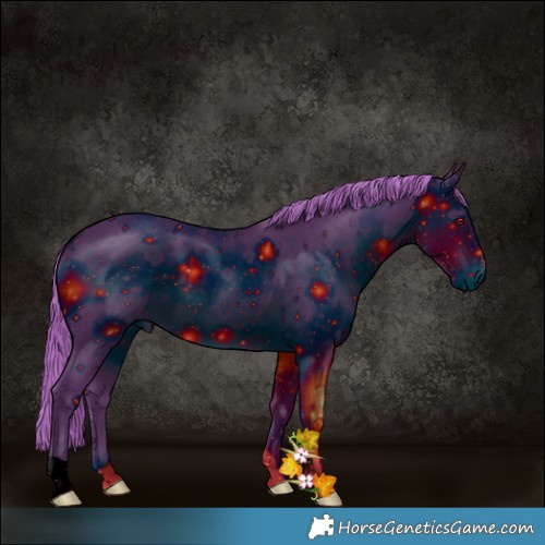 Horse Color:ERROR: UNKNOWN ANOMALY