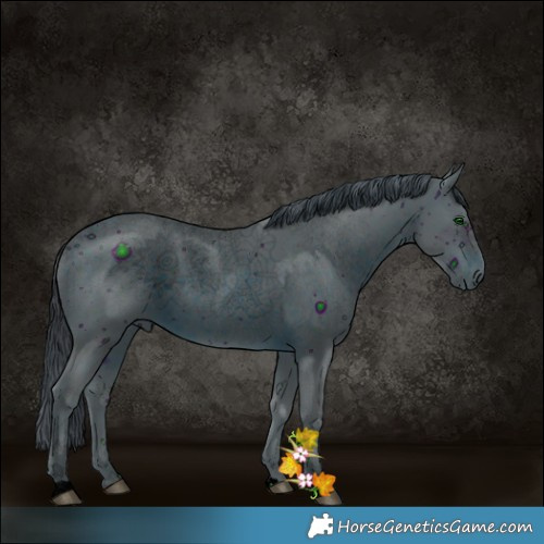 Horse Color:ERROR: UNKNOWN ANOMALY