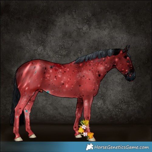 Horse Color:ERROR: UNKNOWN ANOMALY