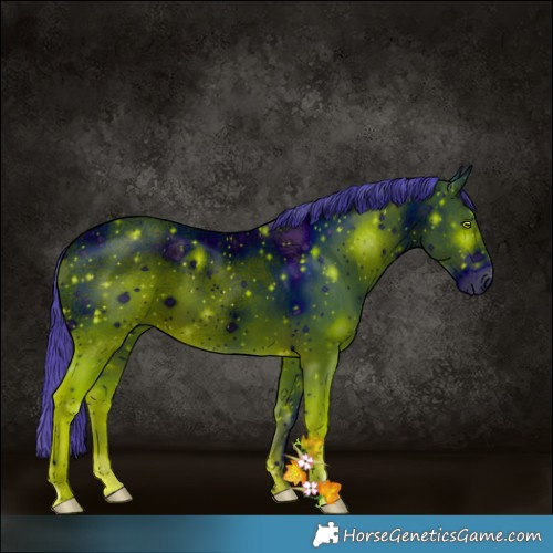 Horse Color:ERROR: UNKNOWN ANOMALY