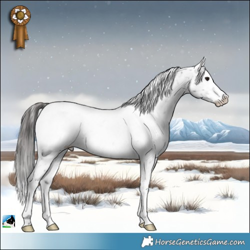 Horse Color:Black Ice Mushroom Appaloosa Rabicano 