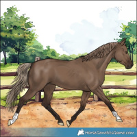 Horse Color:Liver Red Dun 